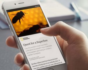Facebook Anlık Makaleler için Reklam Modelleri